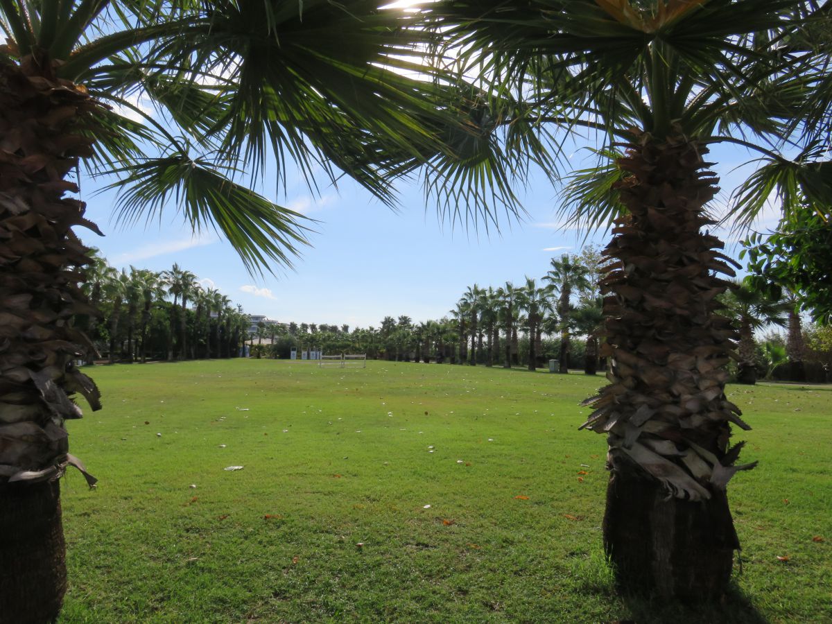 imagini hotel Selectum Family Side